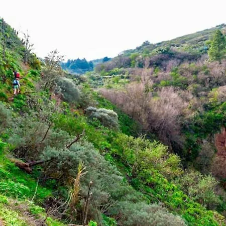 Hébergement de vacances Casa La Veguetilla En San Mateo *