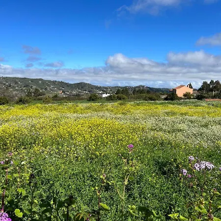Hébergement de vacances Casa La Veguetilla En San Mateo *
